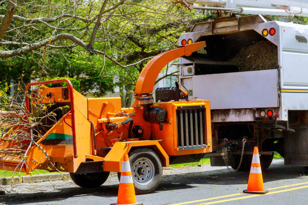 Best Aeration Services  in Jackpot, NV